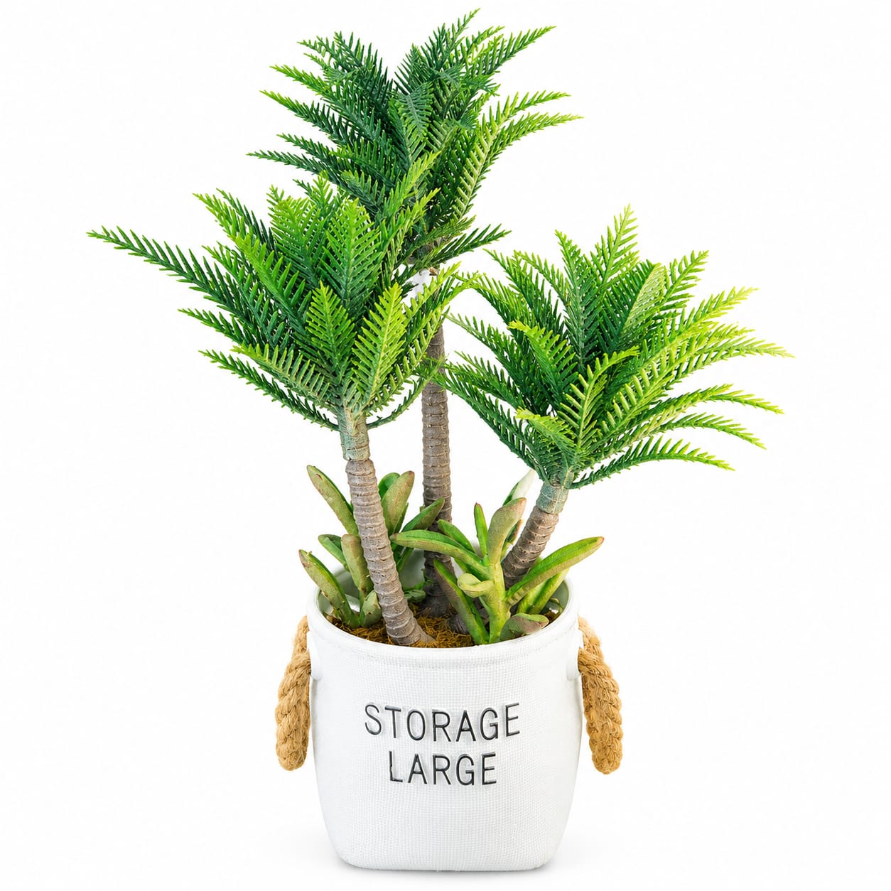 Feathery Green Plant In Storage Basket