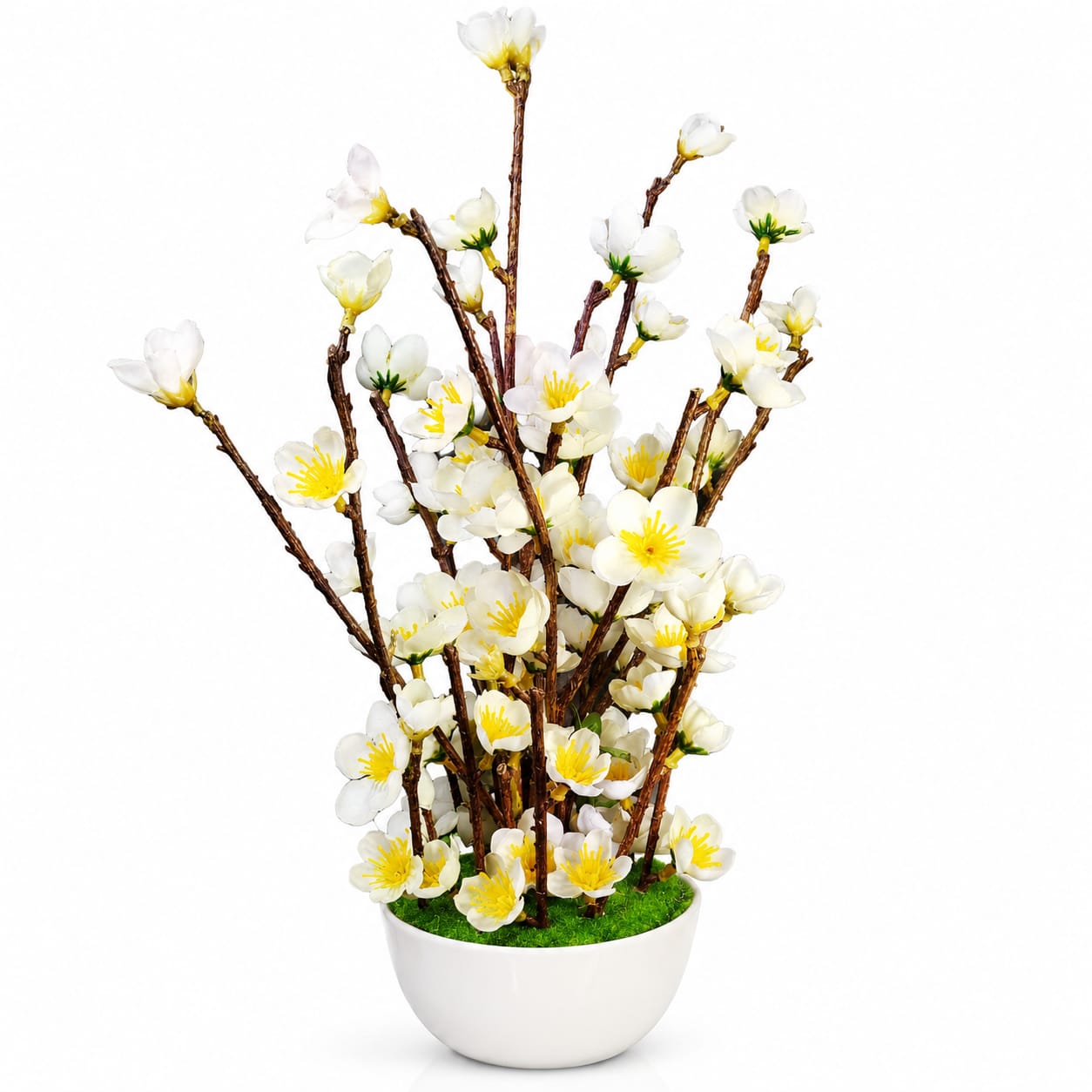 White Cherry Blossom in Ceramic Planter